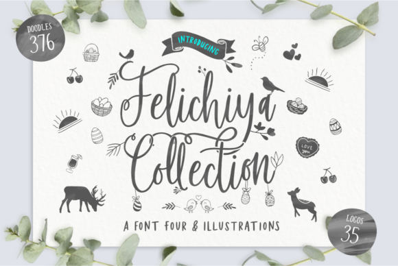 Felichiya Collection: Elevating Your Design with Organic Versatility