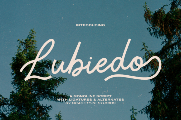 Unlocking the Timeless Charm of Lubiedo for Your Creative Projects